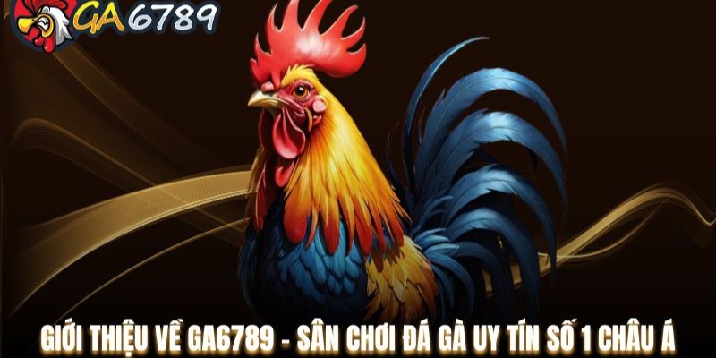 Nhà cái GA6789 cũng có những ưu nhược điểm nhất định